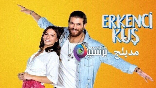 مسلسل طائر الصباح (الطائر المبكر) الحلقة 145 مدبلج HD