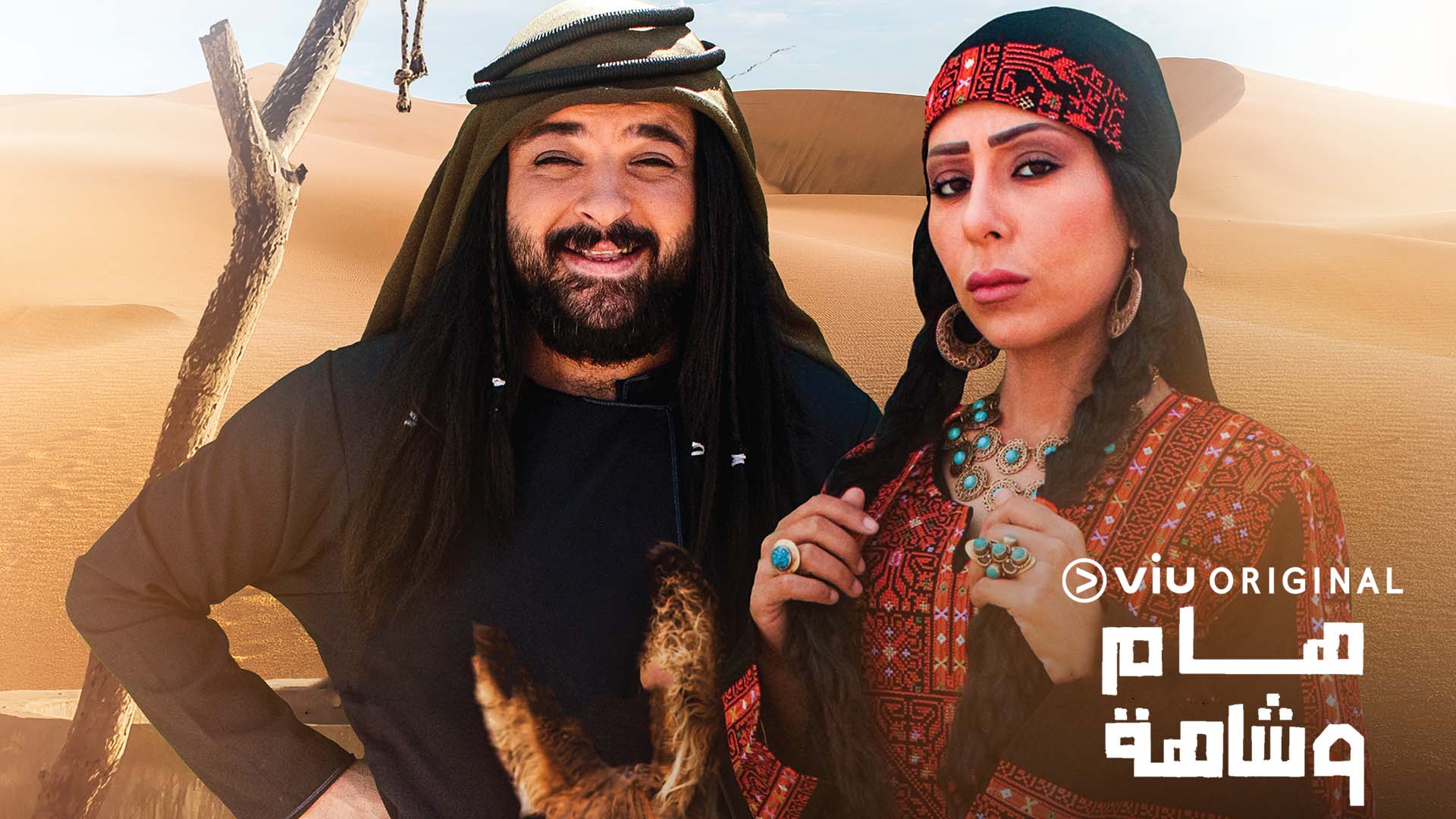 مسلسل هام وشاهة الحلقة 17 السابعة عشر HD